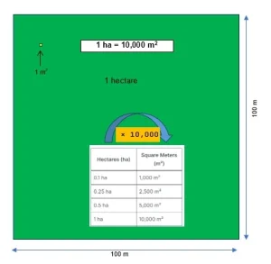 hectares to square meters - ha to m2