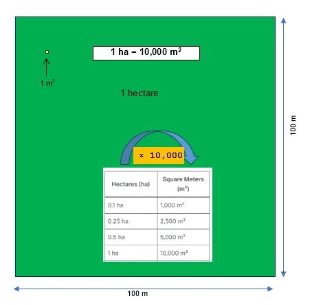 hectares to square meters - ha to m2